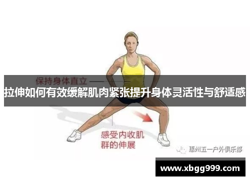 拉伸如何有效缓解肌肉紧张提升身体灵活性与舒适感